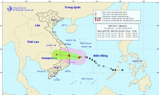 Dự báo đường đi và vùng ảnh hưởng của bão số 5.