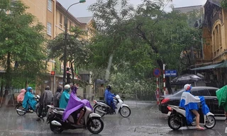 Mưa dự báo kéo dài đến hết ngày mai. Ảnh minh họa.