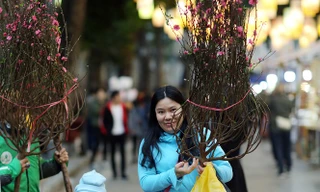 Thời tiết ấm dần từ hôm nay