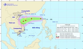 Dự báo đường đi của áp thấp nhiệt đới.