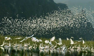 Đầm ngập nước Vân Long được công nhận khu Ramsar quốc tế