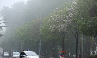 Miền Bắc sương mù, mưa phùn nhiều ngày tới