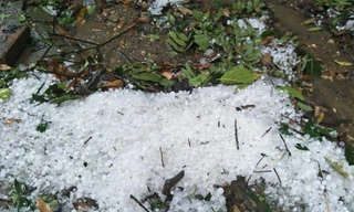 Mưa đá ghi nhận tại Ba Vì ngày mùng Một Tết.