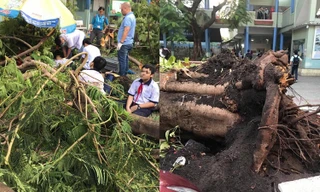 Bộ trưởng Phùng Xuân Nhạ gửi lời hỏi thăm, chia buồn với gia đình học sinh. 