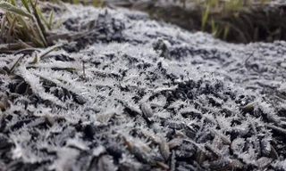 Cuối tháng 12 sẽ thêm nhiều đợt 'rét cắt da' tăng cường