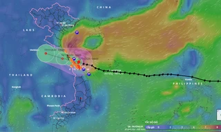 Trong ngày hôm nay, bão mở rộng ảnh hưởng lên các tỉnh Bắc Trung Bộ và đồng bằng Bắc Bộ.