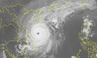 Bão số 13 bắ đầu áp sát đất liền các tỉnh miền Trung từ chiều nay. 