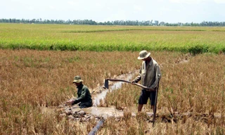 Hạn hán và xâm nhập mặn khốc liệt có thể kéo dài đến đầu tháng 5, gây ảnh hưởng nghiêm trọng đến đời sống và sản xuất của người dân miền Tây Nam Bộ. 