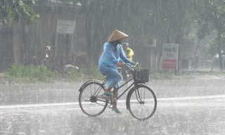 Thời tiết 7 ngày tới trên cả nước ra sao?