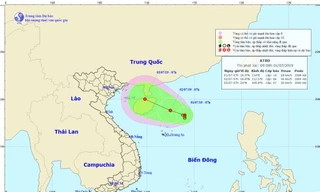 Ảnh đường đi và vị trí của vùng áp thấp nhiệt đới.