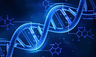 Việt Nam sẽ có cơ sở dữ liệu gen người lớn nhất Đông Nam Á 