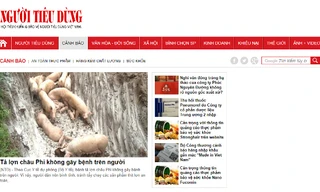 Ảnh chụp màn hình giao diện Báo điện tử Người Tiêu dùng. 