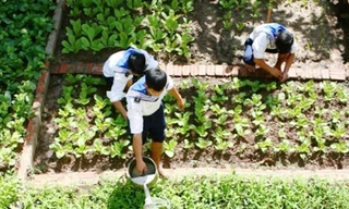 Chiến sĩ Trường Sa chăm sóc rau xanh trên đảo Ảnh: N.H