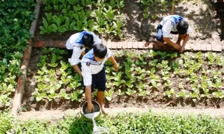 Chiến sĩ Trường Sa chăm sóc rau xanh trên đảo Ảnh: N.H