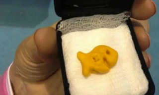 Chiếc bánh mang linh hồn của Chúa