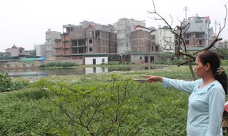 Hồ Rẻ Quạt bao giờ được cải tạo?