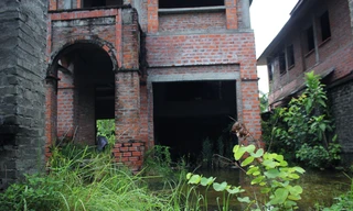 Cảnh nhếch nhác, hoang tàn ở những khu biệt thự 'triệu đô' phía Tây Hà Nội