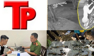 Bản tin Hình sự: Xuất hiện 'người bún' có thể chui qua khe cổng cực hẹp để trộm tài sản 