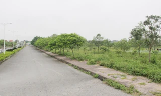 Loạt dự án chậm tiến độ, nợ thuế của Nghệ An bị 'khai tử'