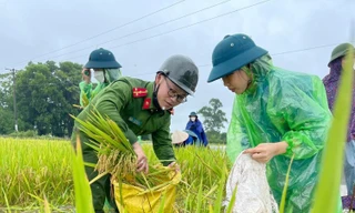 Chiến sỹ Công an Hà Nội xắn quần, ngâm nước giúp người dân cứu lúa 