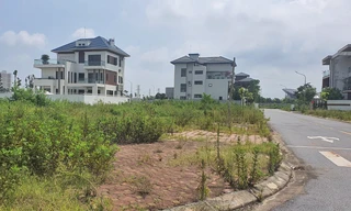 Tin mới về giảm tiền thuê đất và mặt nước với đối tượng bị ảnh hưởng dịch COVID -19