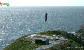 Tên lửa Taurus KEPD 350 - 'Sát thủ' diệt hầm ngầm 