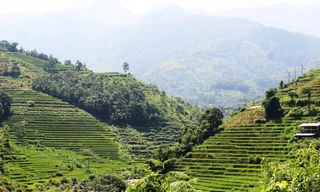 Các địa phương liên tục đấu giá đất với mức khởi điểm từ vài triệu đồng/m2 