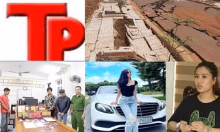Bản tin Hình sự: Kiều nữ 'khoác áo' doanh nhân bất động sản để lừa đảo lĩnh án chung thân