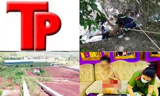 Bản tin Hình sự: Bắt quả tang tiếp viên nhảy múa khỏa thân với khách 