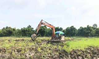 Đồng Tháp và Long An được chuyển mục đích sử dụng đất lúa diện tích lớn