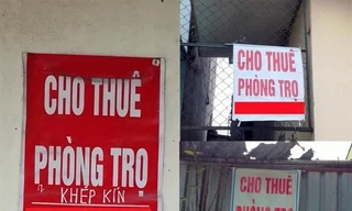 Thị trường nhà cho thuê tăng nhiệt