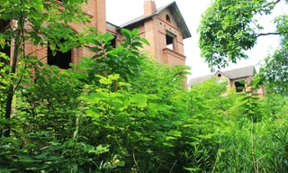 Bắc Ninh: Biệt thự tiền tỷ bỏ hoang thành nơi nuôi thả gà nhiều năm