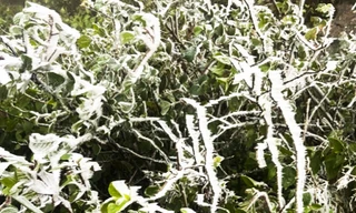 Yên Bái chủ động phòng, chống rét đậm, rét hại khi không khí lạnh tràn về