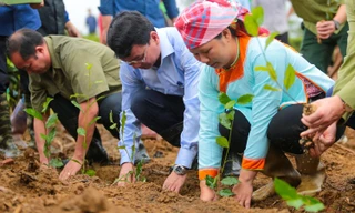 Bí thư Tỉnh ủy Lào Cai trồng chè cùng bà con Mường Khương