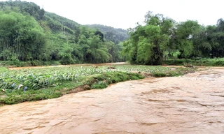 Yên Bái ứng phó với mưa lớn, lốc sét, mưa đá