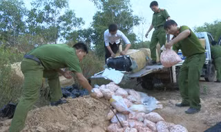 Tiêu hủy khẩn cấp 1 tấn sụn gà thối ở Quảng Trị