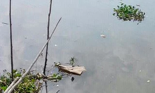 Hoảng hồn phát hiện thi thể nữ giới trôi trên rạch