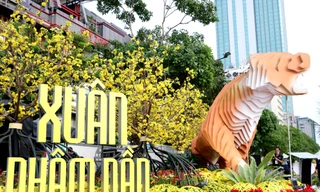 Hình ảnh đường hoa Nguyễn Huệ trước ngày khai mạc