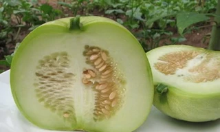 Dưa lê - Thực phẩm tốt cho mùa hè