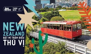 Tác giả Đoàn Bảo Châu: Những tấm thẻ kỳ diệu ở New Zealand