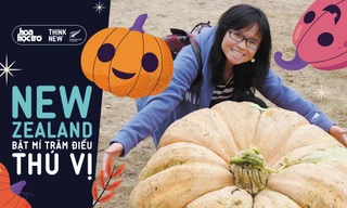 Tác giả sách "Duyên nợ Thái Bình Dương": New Zealand - đất nước của những lễ hội cộng đồng