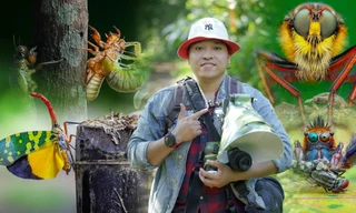 Ngắm khoảnh khắc đẹp kỳ ảo của côn trùng qua ống kính của nhiếp ảnh gia Hà thành