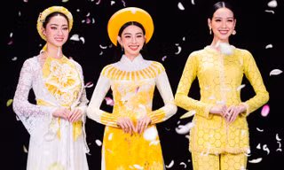 Bộ ba ‘mỹ nhân’ có thành tích thi Hoa hậu đẳng cấp quốc tế ‘đọ sắc’ đầy ấn tượng trong cùng khung hình