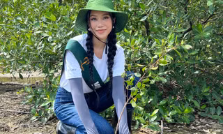 Đúng chuẩn người trẻ sống xanh, Hoa hậu Lan Anh quảng bá hình ảnh rừng ngập mặn Cần Giờ đến bạn bè quốc tế