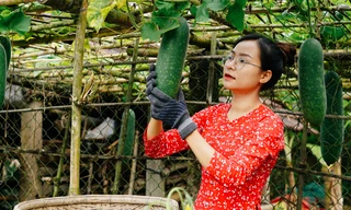 Cô nàng Gen Z bỏ phố về quê làm nông dân và nhận ra cái giá của sự bình yên 