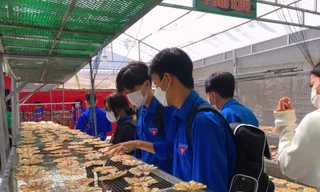 Giúp thanh niên dân tộc thiểu số, vùng biên giới khởi nghiệp từ tài nguyên bản địa 