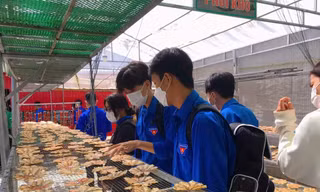 Giúp thanh niên dân tộc thiểu số, vùng biên giới khởi nghiệp từ tài nguyên bản địa 