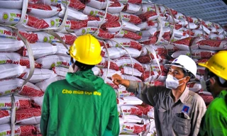 Phân bón Phú Mỹ lần thứ 5 liên tiếp được công nhận là Thương hiệu Quốc gia