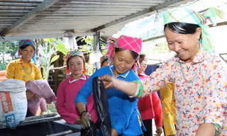Người Xuồng nhuộm vải ở Mèo Vạc. Ảnh: Đ.M