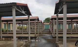 Khu chợ Gia Tiến được đầu tư 15 tỷ xây dựng từ năm 2015 rồi bỏ hoang. Ảnh: Đ.H